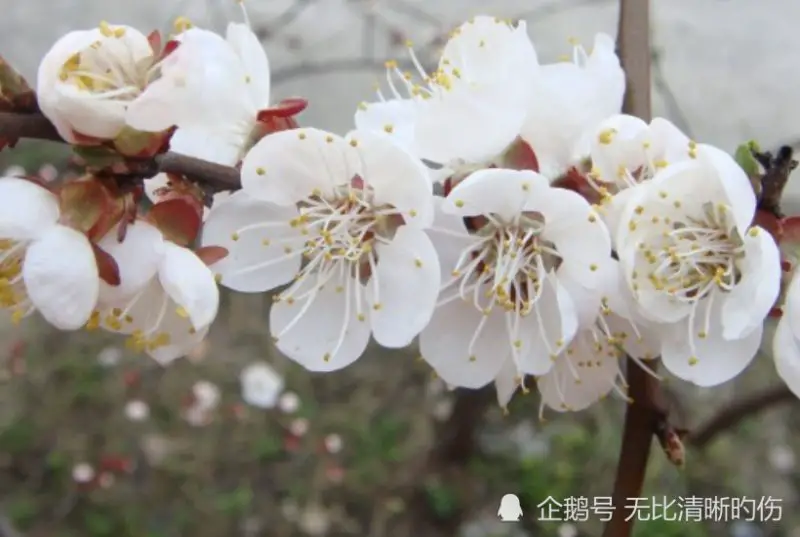 十一月上旬開始，財運紅得發紫，事業順風，運勢不簡單的生肖