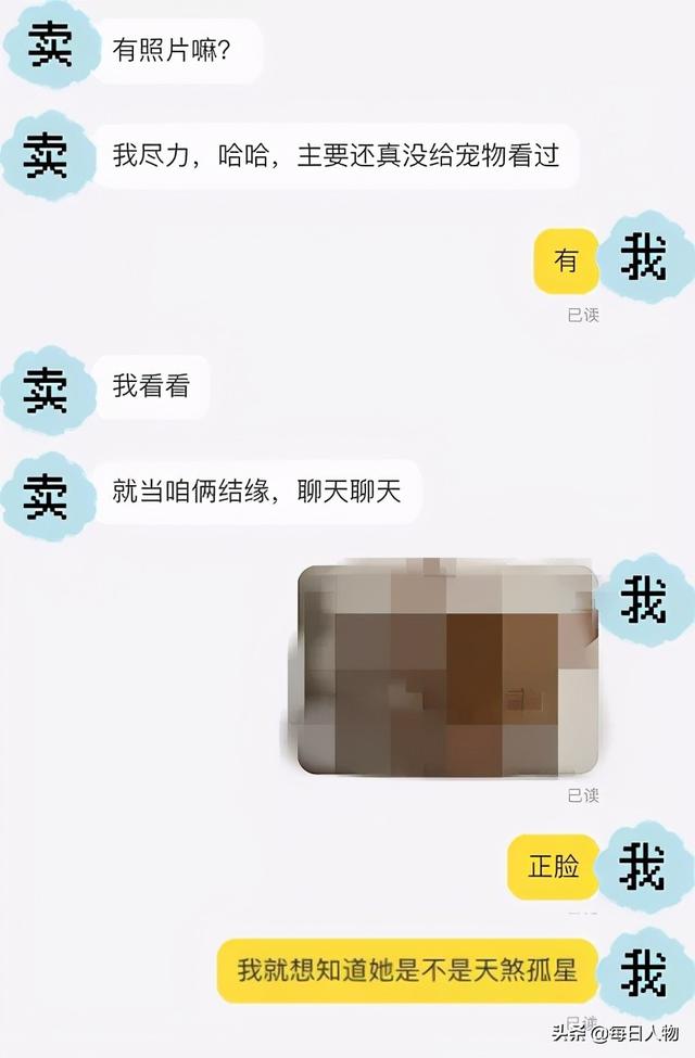 給貓看面相，交錢逆天改命，線上大師算命套路有多深？